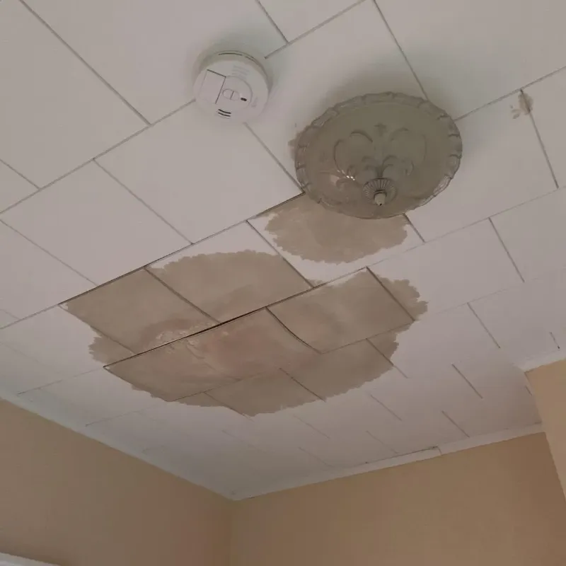 Ceiling Water Damage Repair in Moravia, NY